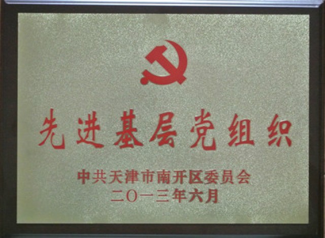 先進(jìn)基層黨組織（天津市南開(kāi)區委員會(huì )）