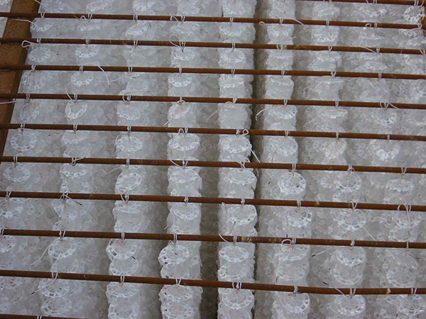 �M�����ϰ��b